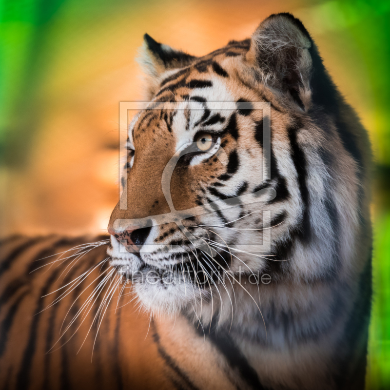 frei w&auml;hlbarer Bildausschnitt f&uuml;r Ihr Bild auf Untersetzer