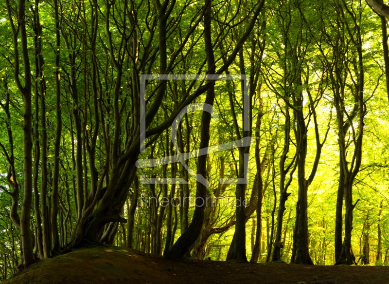 frei w&auml;hlbarer Bildausschnitt f&uuml;r Ihr Bild auf Untersetzer