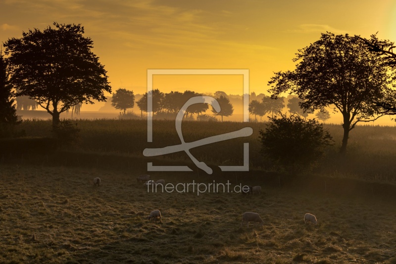 frei w&auml;hlbarer Bildausschnitt f&uuml;r Ihr Bild auf Untersetzer