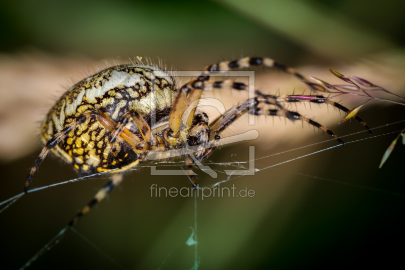 frei w&auml;hlbarer Bildausschnitt f&uuml;r Ihr Bild auf Untersetzer