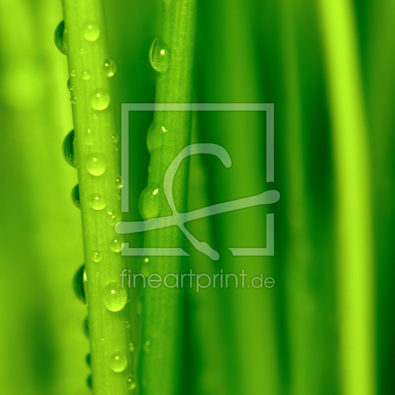 frei w&auml;hlbarer Bildausschnitt f&uuml;r Ihr Bild auf Untersetzer