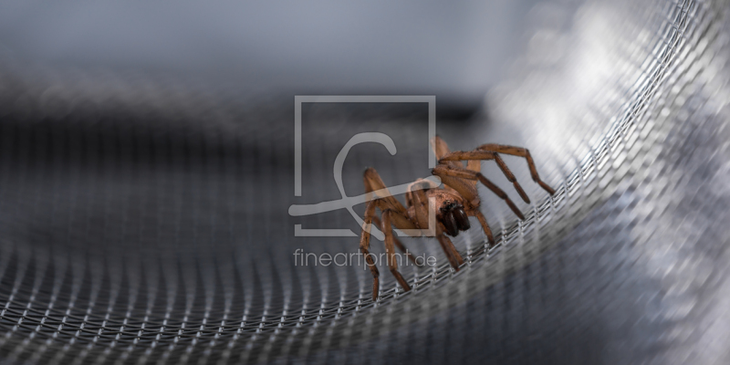 frei w&auml;hlbarer Bildausschnitt f&uuml;r Ihr Bild auf Untersetzer