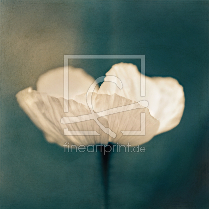 frei w&auml;hlbarer Bildausschnitt f&uuml;r Ihr Bild auf Untersetzer