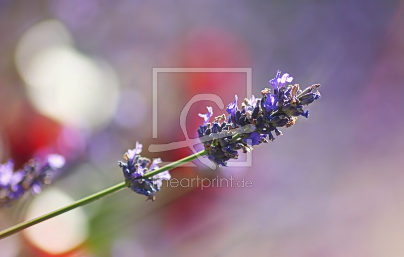 frei w&auml;hlbarer Bildausschnitt f&uuml;r Ihr Bild auf Untersetzer