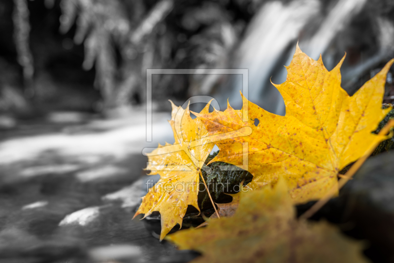 frei w&auml;hlbarer Bildausschnitt f&uuml;r Ihr Bild auf Untersetzer