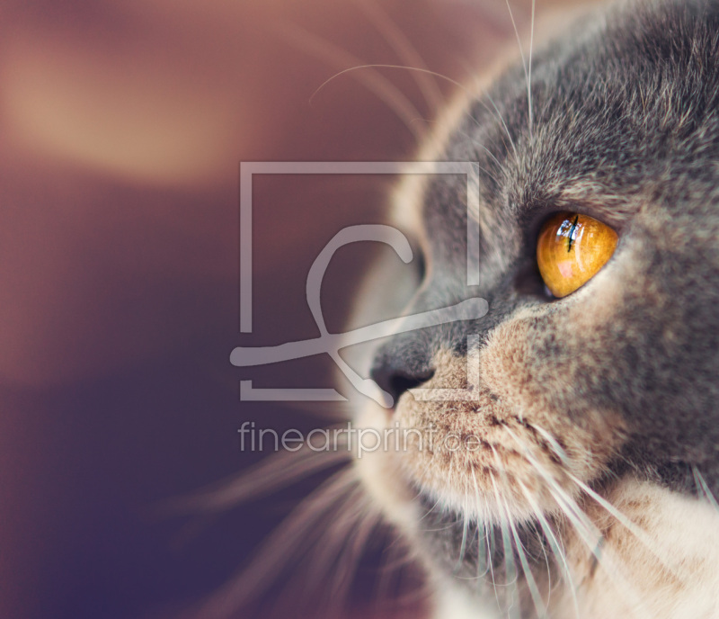 frei w&auml;hlbarer Bildausschnitt f&uuml;r Ihr Bild auf Untersetzer