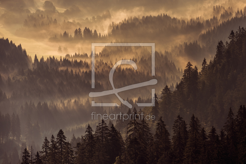 frei w&auml;hlbarer Bildausschnitt f&uuml;r Ihr Bild auf Untersetzer