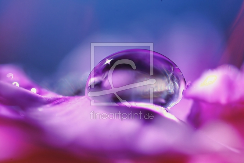 frei w&auml;hlbarer Bildausschnitt f&uuml;r Ihr Bild auf Untersetzer