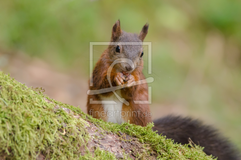 frei w&auml;hlbarer Bildausschnitt f&uuml;r Ihr Bild auf Untersetzer