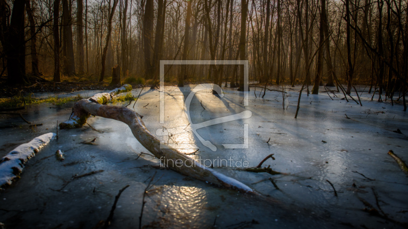 frei w&auml;hlbarer Bildausschnitt f&uuml;r Ihr Bild auf Untersetzer