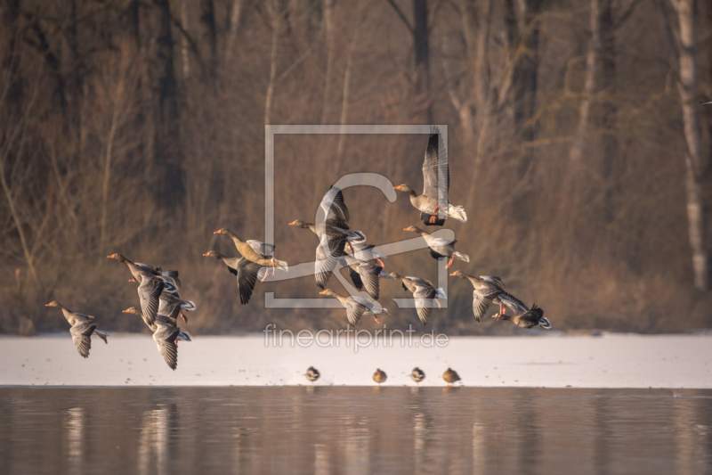 frei w&auml;hlbarer Bildausschnitt f&uuml;r Ihr Bild auf Untersetzer