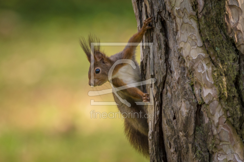 frei w&auml;hlbarer Bildausschnitt f&uuml;r Ihr Bild auf Untersetzer