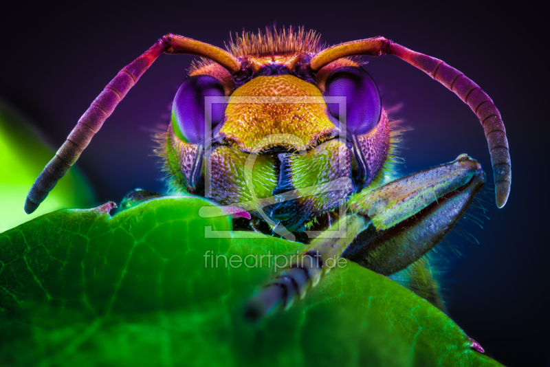 frei wählbarer Bildausschnitt für Ihr Bild auf Untersetzer