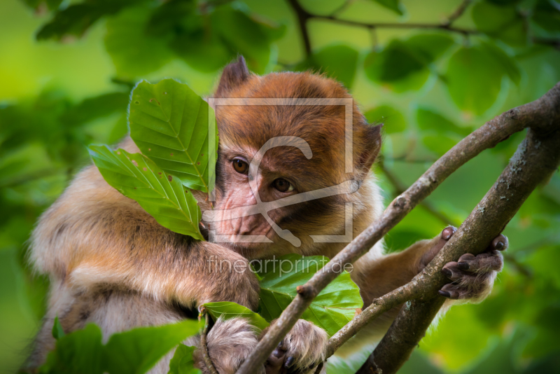 frei w&auml;hlbarer Bildausschnitt f&uuml;r Ihr Bild auf Untersetzer