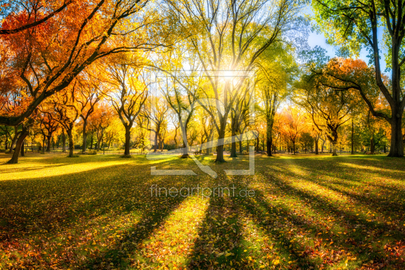 frei w&auml;hlbarer Bildausschnitt f&uuml;r Ihr Bild auf Untersetzer