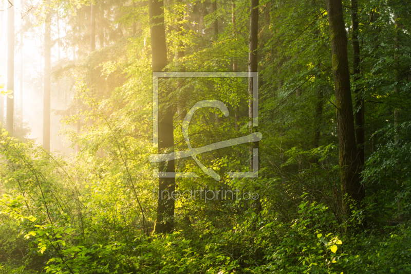 frei w&auml;hlbarer Bildausschnitt f&uuml;r Ihr Bild auf Untersetzer