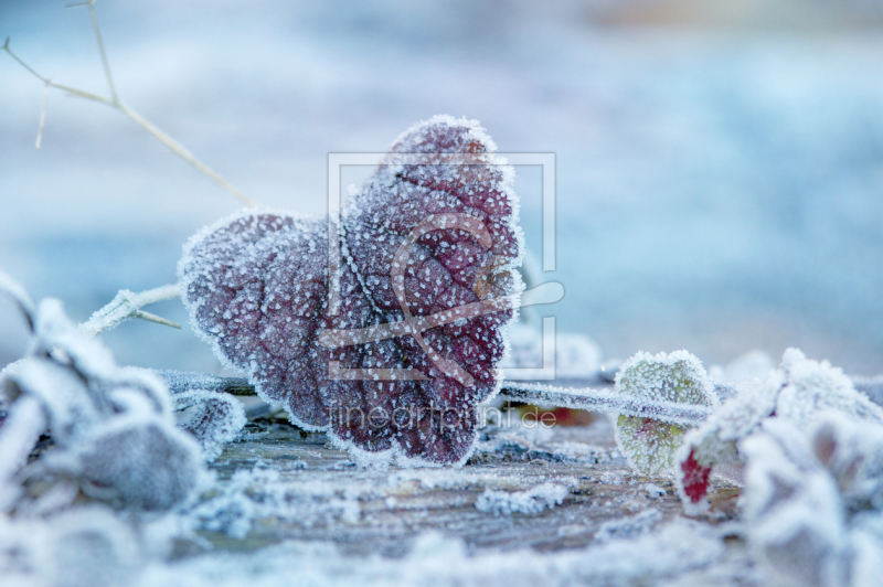 frei w&auml;hlbarer Bildausschnitt f&uuml;r Ihr Bild auf Untersetzer