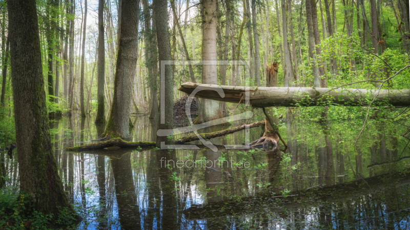 frei w&auml;hlbarer Bildausschnitt f&uuml;r Ihr Bild auf Untersetzer