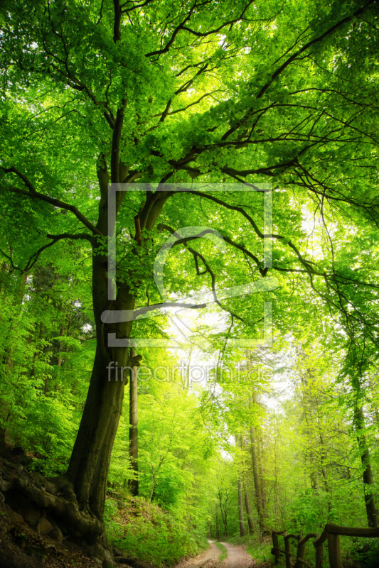 frei w&auml;hlbarer Bildausschnitt f&uuml;r Ihr Bild auf Untersetzer