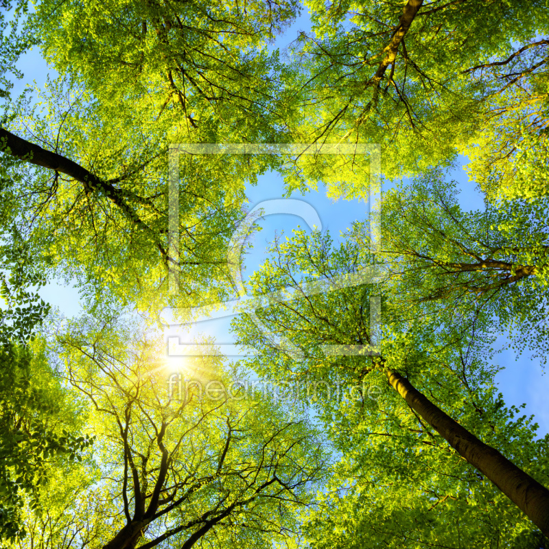 frei w&auml;hlbarer Bildausschnitt f&uuml;r Ihr Bild auf Untersetzer