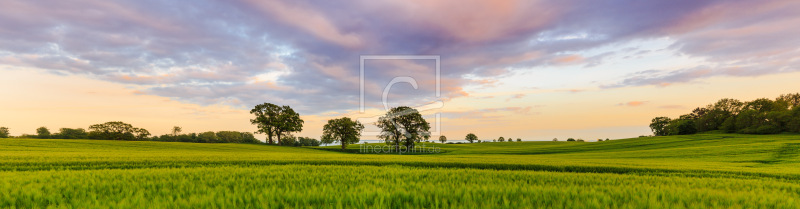 frei w&auml;hlbarer Bildausschnitt f&uuml;r Ihr Bild auf Untersetzer