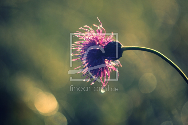 frei w&auml;hlbarer Bildausschnitt f&uuml;r Ihr Bild auf Untersetzer