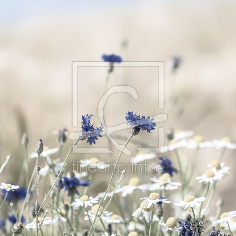 frei w&auml;hlbarer Bildausschnitt f&uuml;r Ihr Bild auf Untersetzer