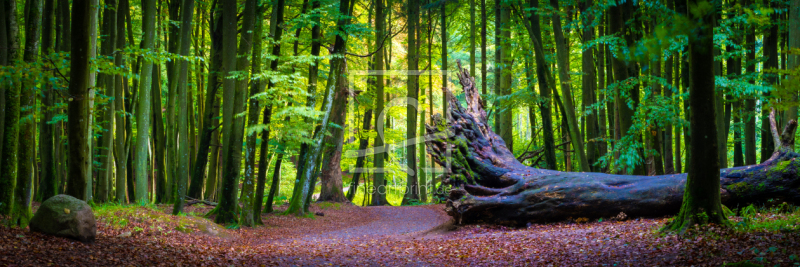 frei w&auml;hlbarer Bildausschnitt f&uuml;r Ihr Bild auf Untersetzer