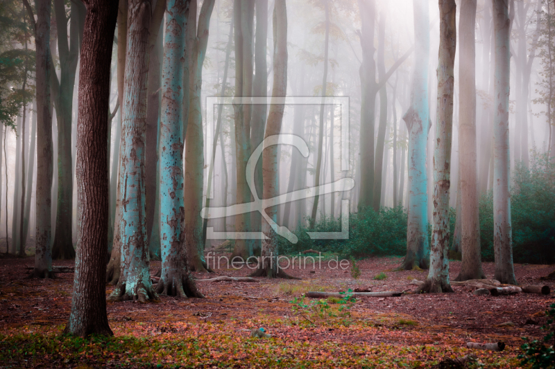 frei w&auml;hlbarer Bildausschnitt f&uuml;r Ihr Bild auf Untersetzer