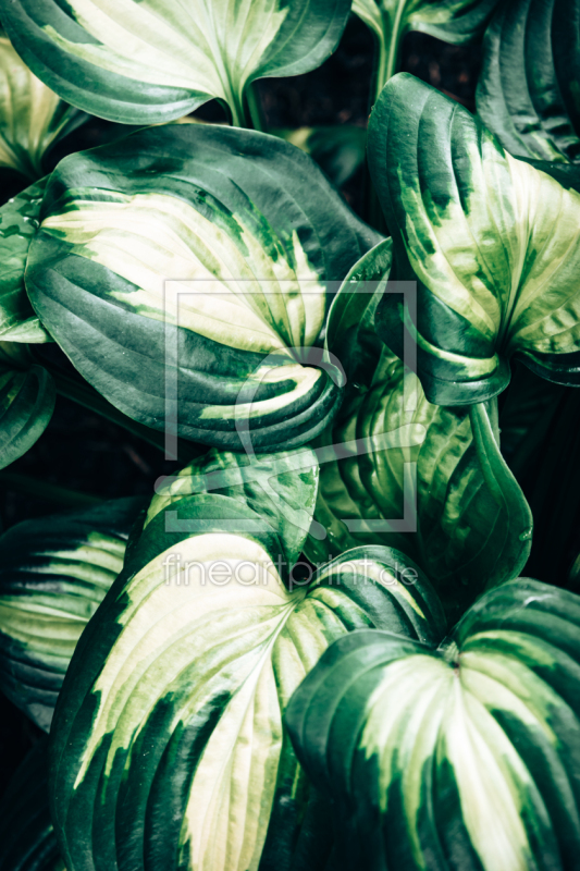 frei w&auml;hlbarer Bildausschnitt f&uuml;r Ihr Bild auf Untersetzer