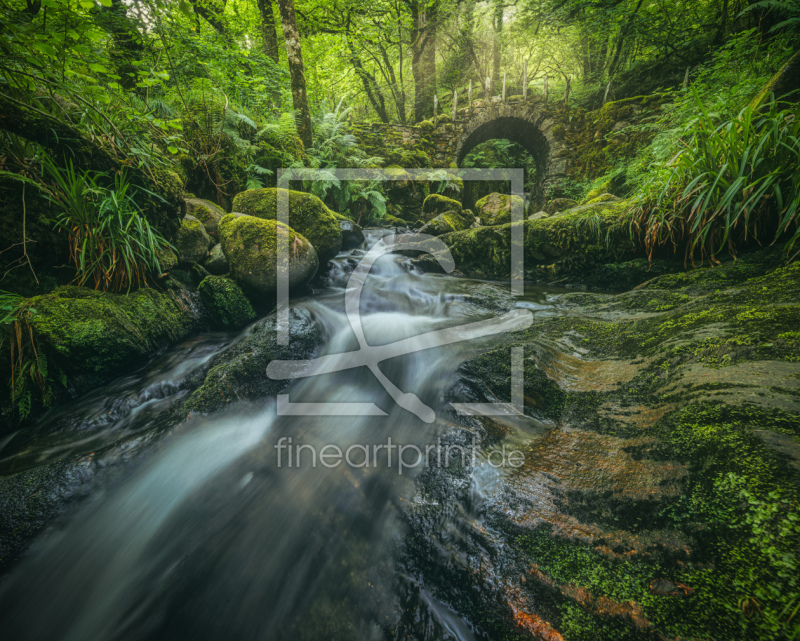 frei w&auml;hlbarer Bildausschnitt f&uuml;r Ihr Bild auf Untersetzer