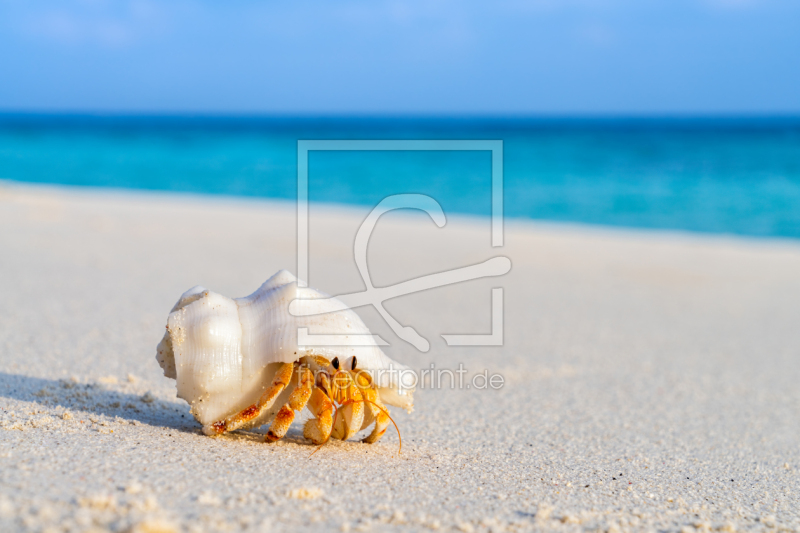 frei w&auml;hlbarer Bildausschnitt f&uuml;r Ihr Bild auf Untersetzer