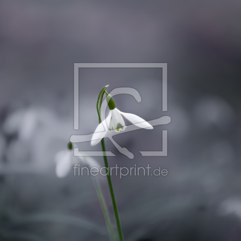 frei w&auml;hlbarer Bildausschnitt f&uuml;r Ihr Bild auf Untersetzer