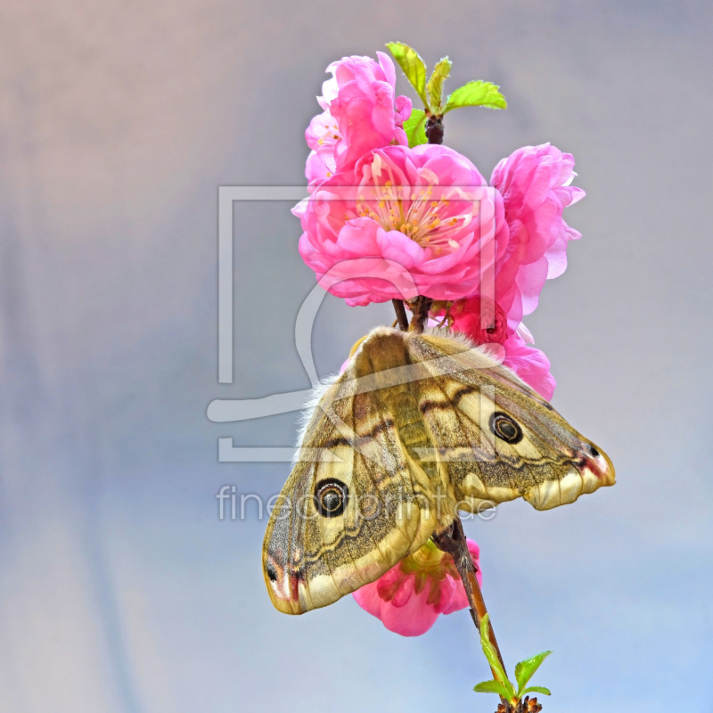 frei w&auml;hlbarer Bildausschnitt f&uuml;r Ihr Bild auf Untersetzer