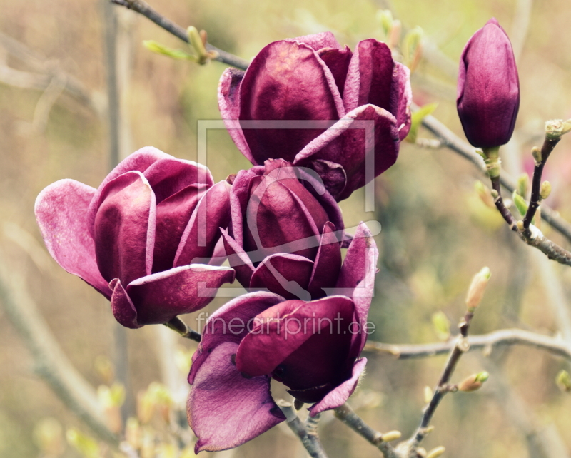 frei w&auml;hlbarer Bildausschnitt f&uuml;r Ihr Bild auf Untersetzer