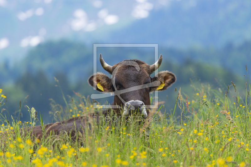 frei wählbarer Bildausschnitt für Ihr Bild auf Untersetzer