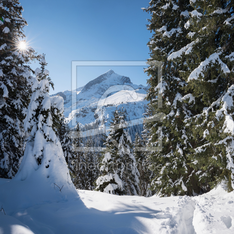 frei w&auml;hlbarer Bildausschnitt f&uuml;r Ihr Bild auf Untersetzer