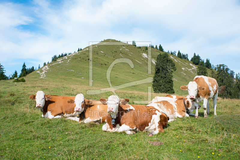 frei w&auml;hlbarer Bildausschnitt f&uuml;r Ihr Bild auf Untersetzer