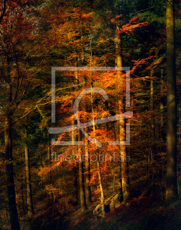 frei w&auml;hlbarer Bildausschnitt f&uuml;r Ihr Bild auf Untersetzer