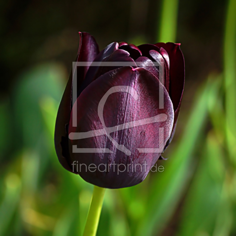 frei w&auml;hlbarer Bildausschnitt f&uuml;r Ihr Bild auf Untersetzer