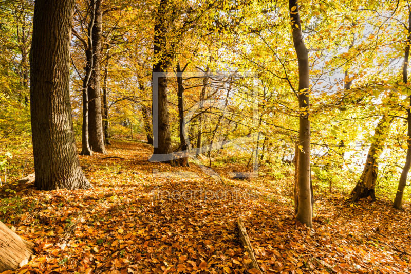 frei w&auml;hlbarer Bildausschnitt f&uuml;r Ihr Bild auf Untersetzer