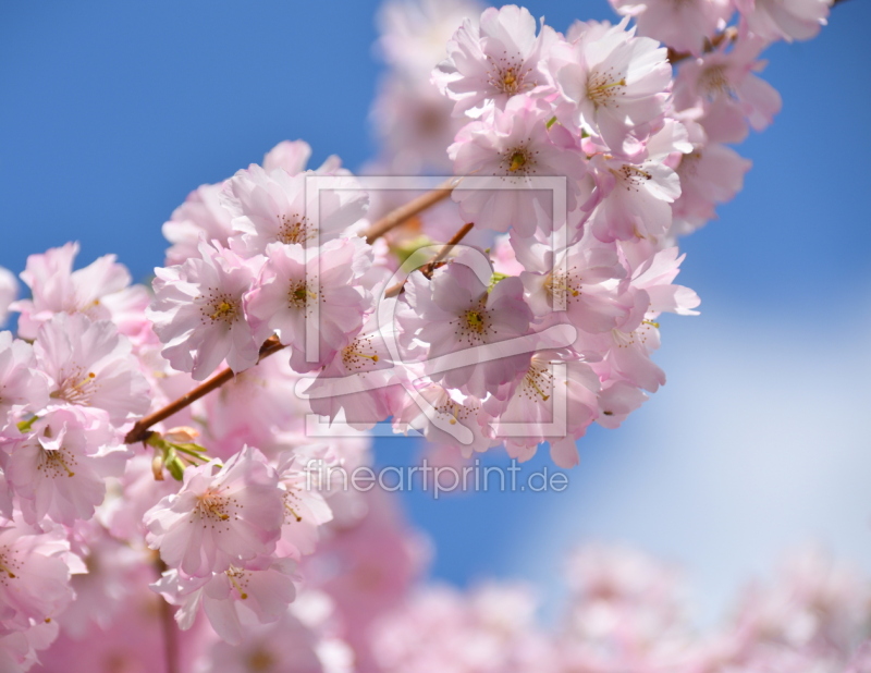 frei w&auml;hlbarer Bildausschnitt f&uuml;r Ihr Bild auf Untersetzer