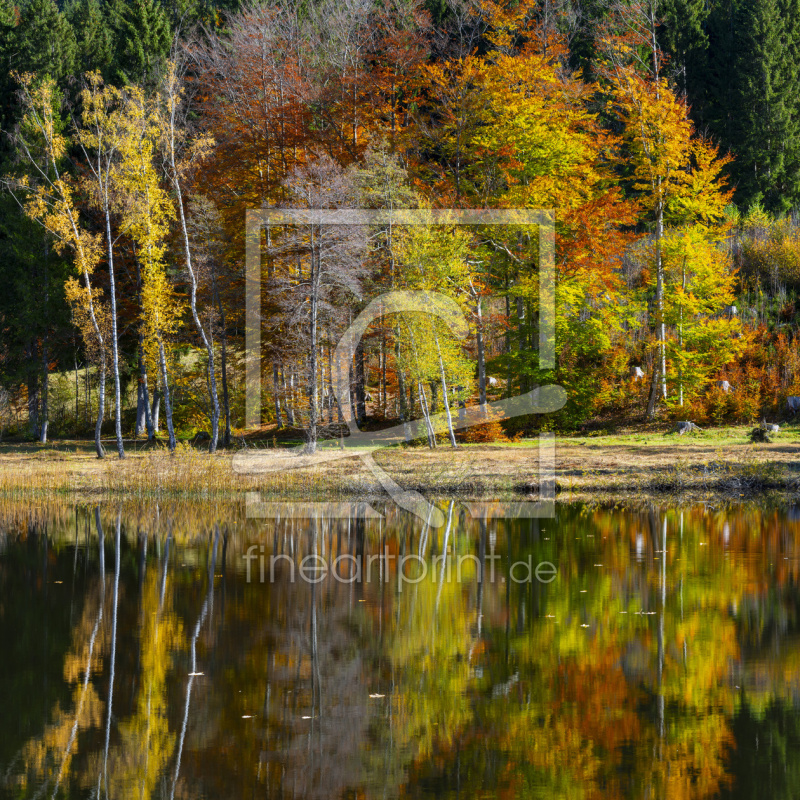 frei w&auml;hlbarer Bildausschnitt f&uuml;r Ihr Bild auf Untersetzer