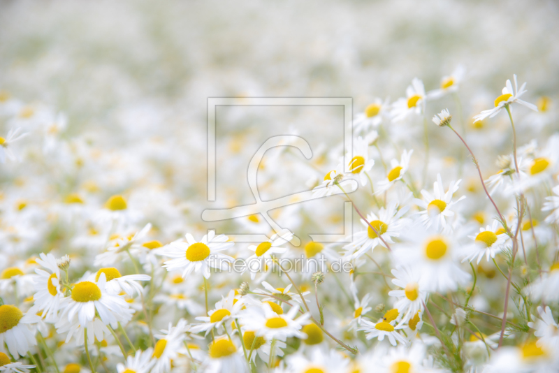 frei w&auml;hlbarer Bildausschnitt f&uuml;r Ihr Bild auf Untersetzer