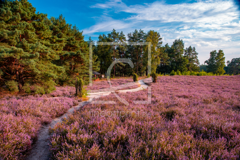 frei w&auml;hlbarer Bildausschnitt f&uuml;r Ihr Bild auf Untersetzer