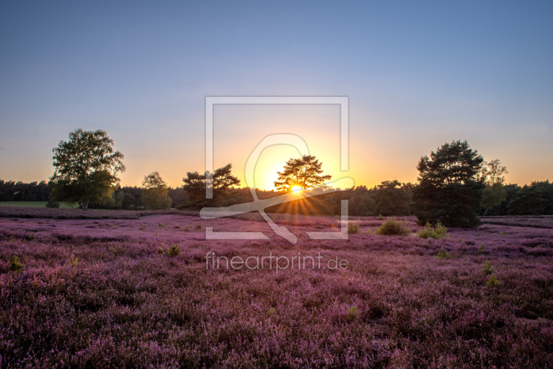 frei w&auml;hlbarer Bildausschnitt f&uuml;r Ihr Bild auf Untersetzer