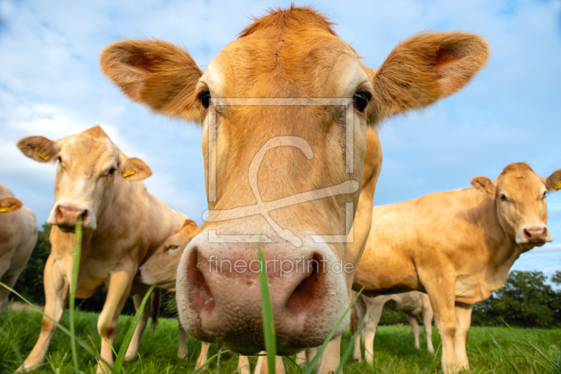 frei w&auml;hlbarer Bildausschnitt f&uuml;r Ihr Bild auf Untersetzer