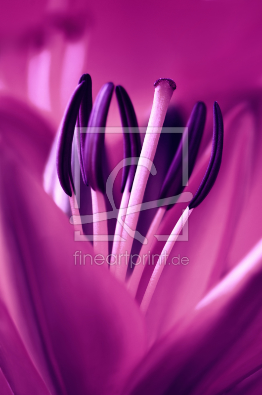 frei w&auml;hlbarer Bildausschnitt f&uuml;r Ihr Bild auf Untersetzer