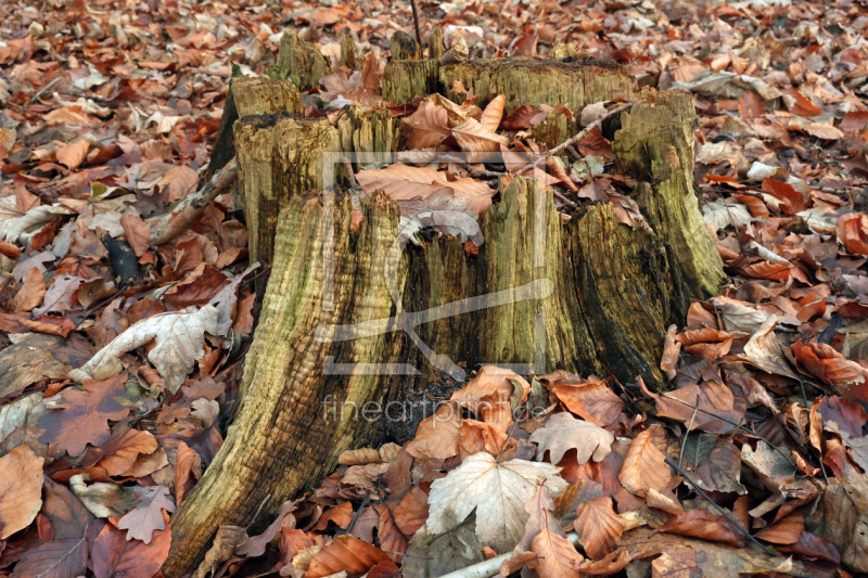 frei w&auml;hlbarer Bildausschnitt f&uuml;r Ihr Bild auf Untersetzer