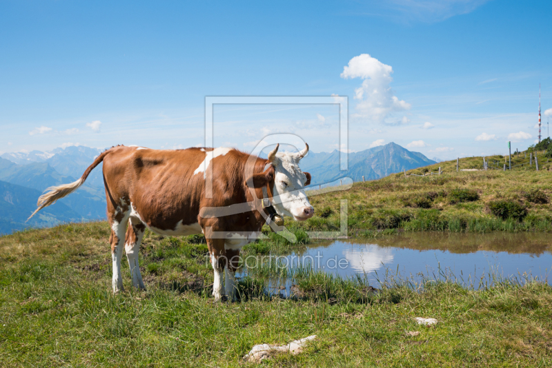 frei wählbarer Bildausschnitt für Ihr Bild auf Untersetzer